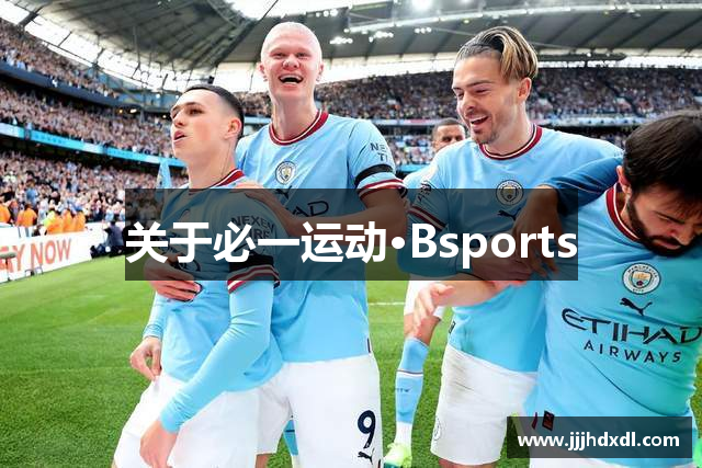 关于必一运动·Bsports